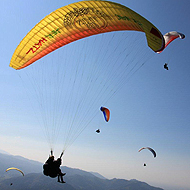 Fliegen
